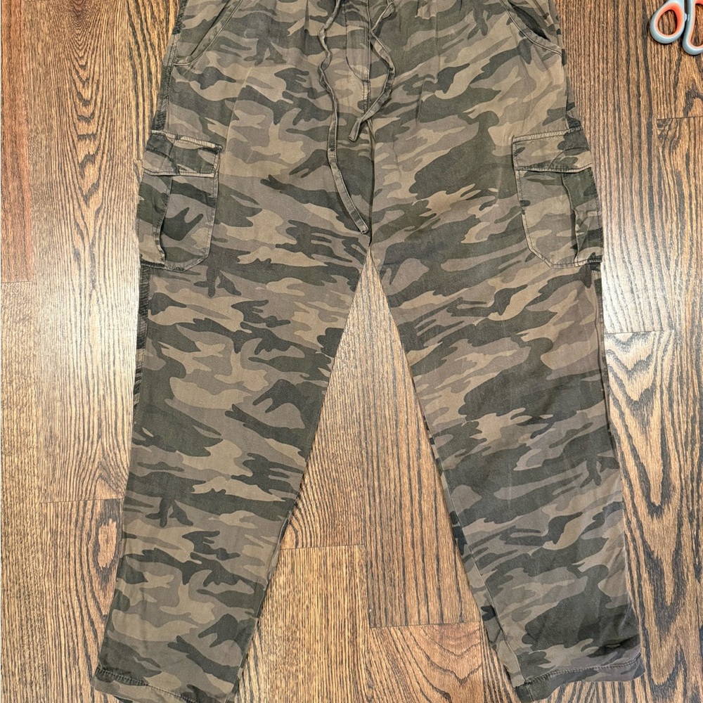 Sanctuary Green and Brown Cargo Pants